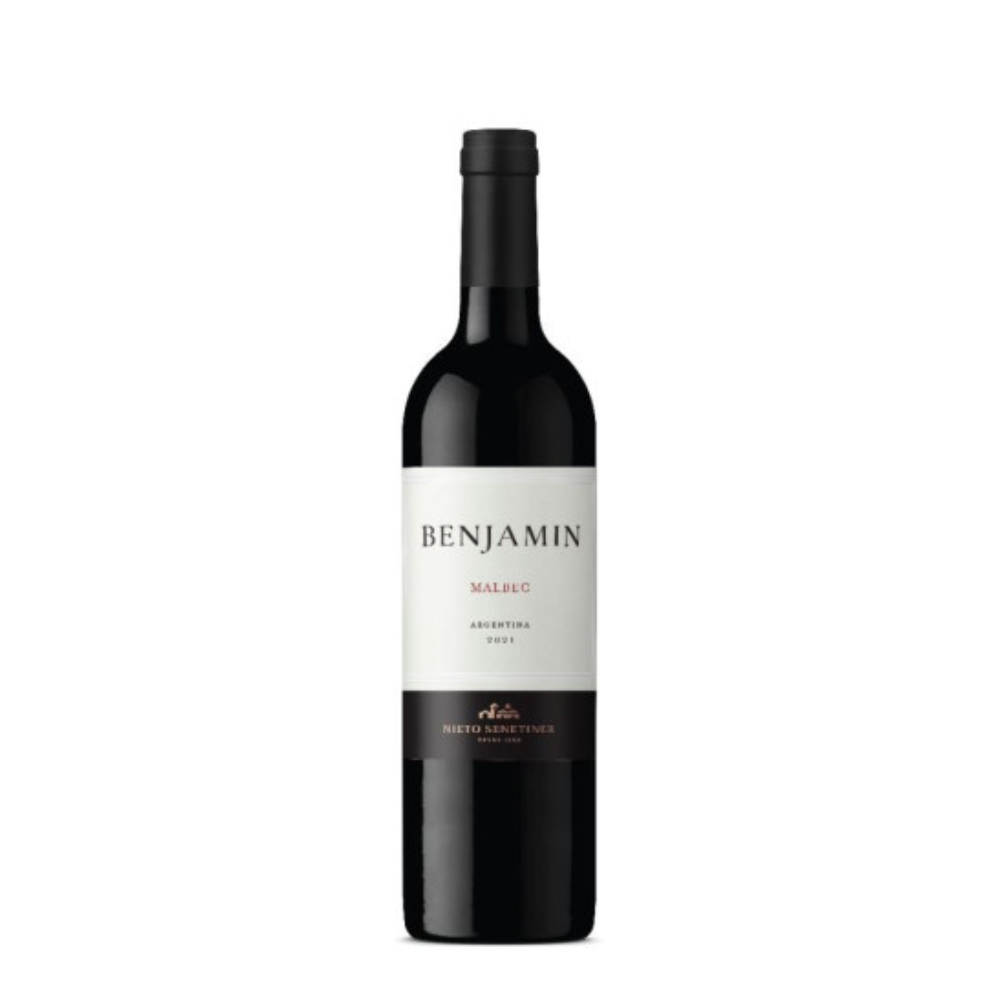 Benjamin Nieto Malbec 6 x 750
